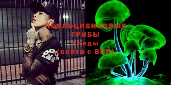 мяу мяу мука Аркадак